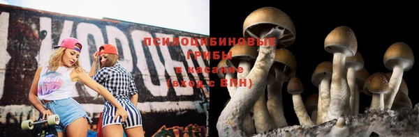 хмурый Горно-Алтайск