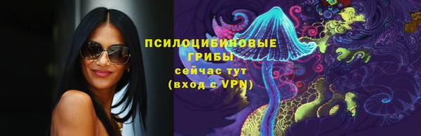 бошки Горнозаводск