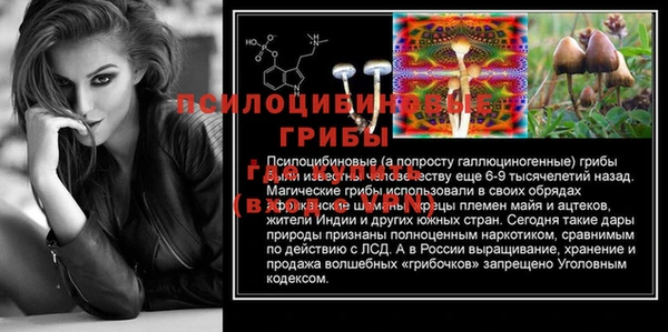 бошки Горнозаводск
