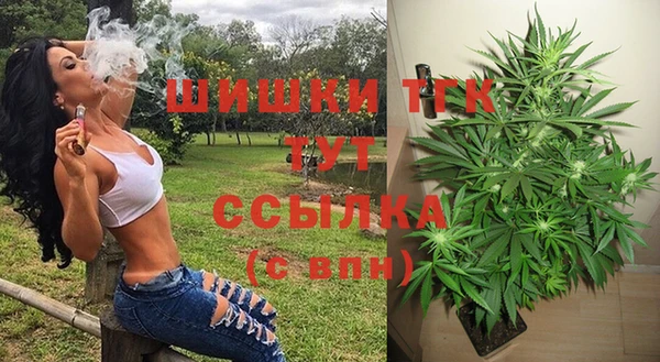 спиды Горняк