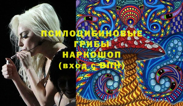 a pvp Гусев