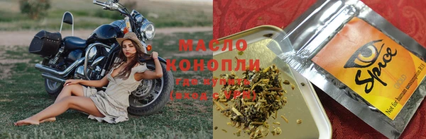 спиды Горняк