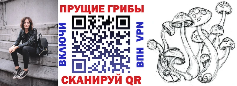 Галлюциногенные грибы MAGIC MUSHROOMS  как найти   Катав-Ивановск 